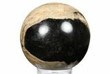 Petrified Wood (Tropical Hardwood) Sphere - Indonesia #266100-1